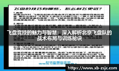 飞盘竞技的魅力与智慧：深入解析北京飞盘队的战术布局与训练秘诀