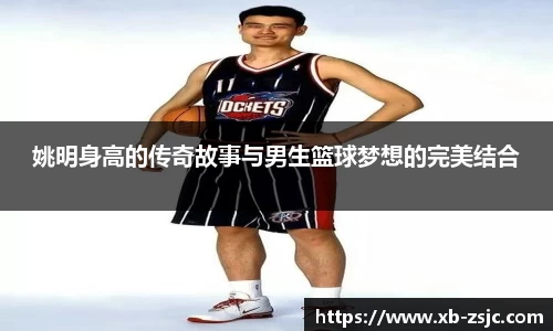 星空·综合体育官网
